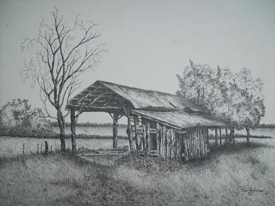 Toms Ink - Florida Old Shed - Ink