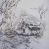 Appalachian Mountain Shed - Ink And Pencils Drawings - By Tom Rechsteiner, Realism Drawing Artist