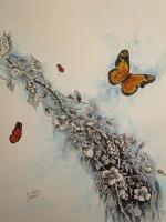 Monarch Butterfly - Ink And Water Colors Drawings - By Tom Rechsteiner, Nature Drawing Artist