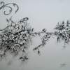 C - Ink Only Drawings - By Tom Rechsteiner, Nature Drawing Artist