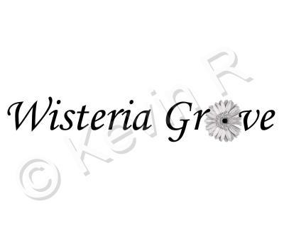 Logo - Witeria Logo - Photoshop