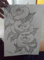 Flowers - Fraternal Triplets - Pencil  Paper