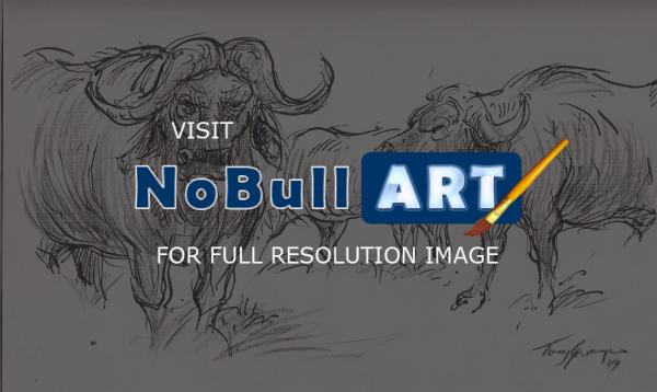 Wild Animal Drawings - Buffalo In The Kruger Park - Line  Wash