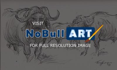 Wild Animal Drawings - Buffalo In The Kruger Park - Line  Wash