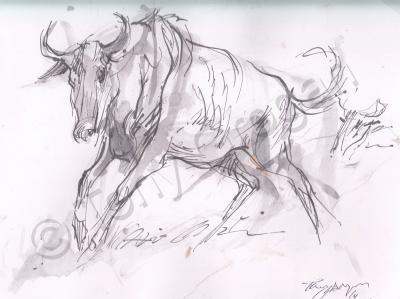 Wild Animal Drawings - Blue Wildebeest Gnu - Pen And Wash