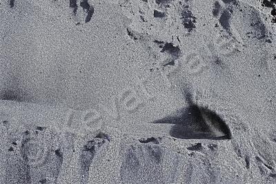 Black And White - Sand On The Moon - Digital