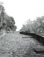 Black And White - A Rocky Path - Digital