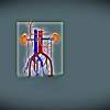 Major Blood Transport - Digital Drawings - By Kevat Patel, Creative Drawing Artist