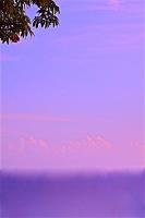 Poetic Images - Purple Paradise - Digital