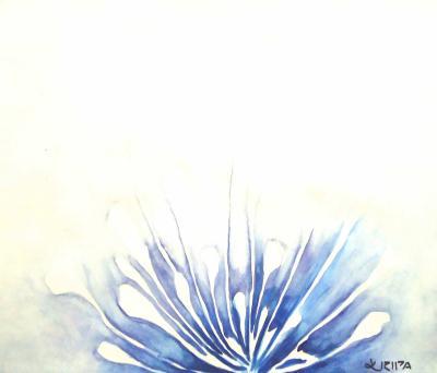 Water Color - Blue Poppies - Watercolor