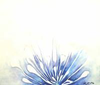 Water Color - Blue Poppies - Watercolor