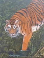 Art By Nathaniel B Dunson - Tiger - Oil On Canvas