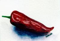 Red Hot Chili Pepper Watercolor - Watercolor Paintings - By Peter Lau, Realism Painting Artist