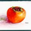 Asian Persimmon - Watercolor Paintings - By Peter Lau, Realism Painting Artist