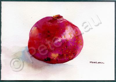 Fruits - Pomegranate - Watercolor