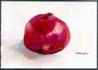 Pomegranate - Watercolor Paintings - By Peter Lau, Realism Painting Artist