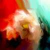 Abstract Expressionist - Amapola - Abstract Expressionist