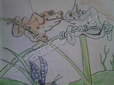 Wildlife - Amphibian Romance - Ink