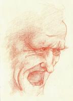 Portraits - Davinci Study 2 - Pencil On Paper