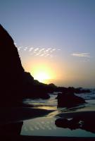 Reflections - Digital Photography - By Sarah Sproul, Nature Photography Artist