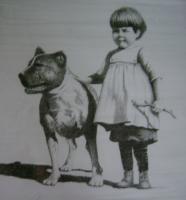 Fetch - Pencil  Graphite Drawings - By Kathy Sands, Realism Drawing Artist