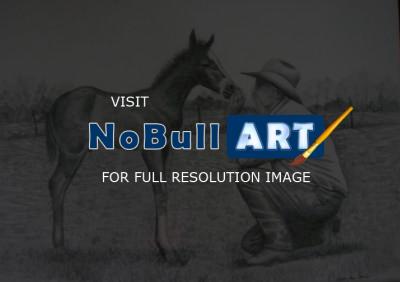 Pencil Realism - Newborn Colt - Pencil  Graphite