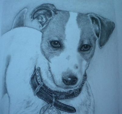 Drawings - Maggie - Pencil  Graphite