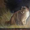 Nite Time - Oil Paintings - By Kathy Sands, Western Realism Painting Artist