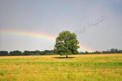 Rainbows - Multiple Rainbows - Digital Photography By Micah