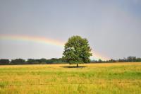 Rainbows - Multiple Rainbows - Digital Photography By Micah