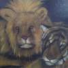 Cats - Art Paintings - By Antonio Cariola, Oil On Canvas Painting Artist