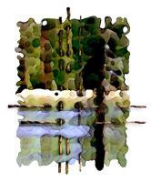 The Balance Of Nature - Giclee Digital - By Brenda Leedy, Abstract Digital Artist