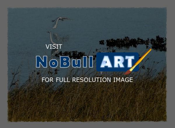 Representational - Egrets Of Little Marsh Island - Artists Giclee