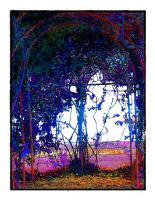 Mothers Nature - Artists Giclee Digital - By Brenda Leedy, Abstract Digital Artist