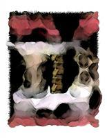 Anatomy Of An Alien - Artists Giclee Digital - By Brenda Leedy, Abstract Digital Artist