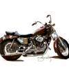 Harley - Artists Giclee Digital - By Brenda Leedy, Representational Digital Artist