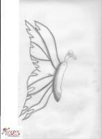 Butterfly - Black And White Drawings - By Hannah Tropkoff, Useing Pencils Drawing Artist