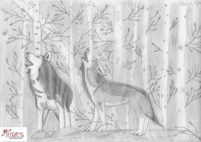Wolves - Wolves - Black And White