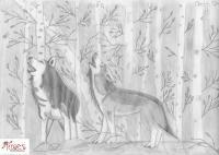 Wolves - Black And White Drawings - By Hannah Tropkoff, Using Pencils Drawing Artist