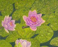 Water Lilies Art Prints Lilies Flowers Art Fine Art Giclee - Fine Art Prints From Original Drawings - By Baslee Troutman Fine Art Prints Fish Flowers, Contemporary Fine Art Prints Drawing Artist