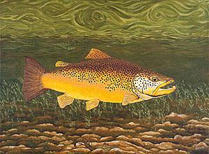 Brown Trout Art Prints Fish Ar - Brown Trout Art Prints Fish Art Prints Fine Art Print Giclee - Fine Art Prints From Original