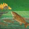 Smallmout Bass Art Prints Fish Art Fine Art Prints Giclee - Fine Art Prints From Original Paintings - By Baslee Troutman Fine Art Prints Fish Flowers, Contemporary Fine Art Prints Painting Artist