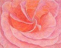 Rose Art Prints Roses Art Flow - Rose Art Prints Roses Art Flowers Fine Art Prints Giclee - Fine Art Prints From Original