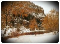 White Autumn - Digital Camera Photography - By Tabitha Lagodzinski, Winter Photography Artist