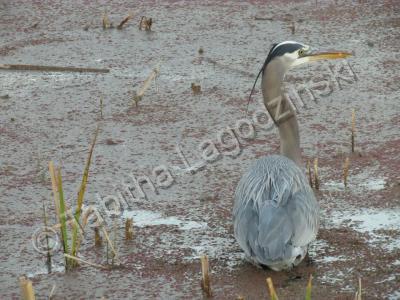 Photography - Danger Zone - Digital Camera