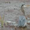 Danger Zone - Digital Camera Photography - By Tabitha Lagodzinski, Spring Photography Artist