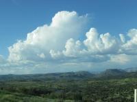 Photography - Gorgeous Greenery - Digital Camera