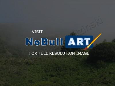 Photography - Fog - Digital Camera