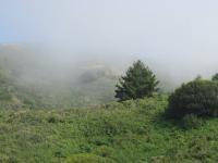 Photography - Fog - Digital Camera