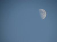 Photography - 4 O Clock Moon - Digital Camera